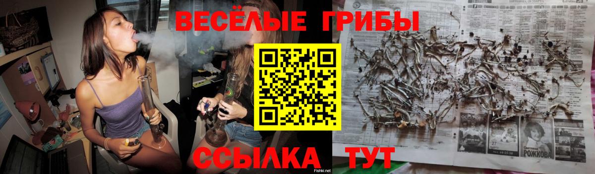 Ачхой-Мартан  купить закладку  Вход с VPN  Галлюциногенные грибы Psilocybe 